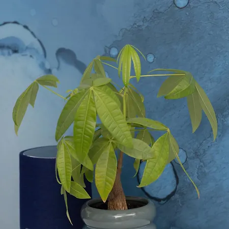 Blue Paradise - Basen - Spa- Sauna - Parking 아파트