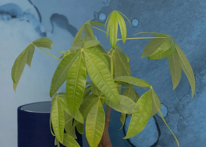 Blue Paradise - Basen - Spa- Sauna - Parking Apartmán